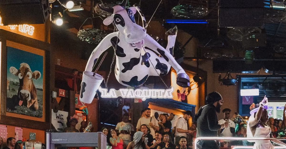A big cartoon cow hangs from the ceiling as people dance and take photos under colorful lights at a lively night club.