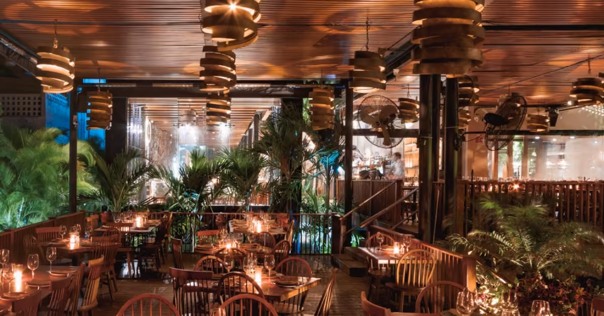 A warmly lit restaurant with wooden tables, green plants, and modern lights creates a cozy, inviting space for evening dining.