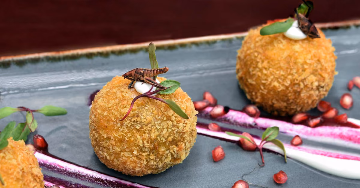 Three golden croquettes topped with cream, microgreens, and insects, served on a gray plate with pomegranate and colorful sauce.