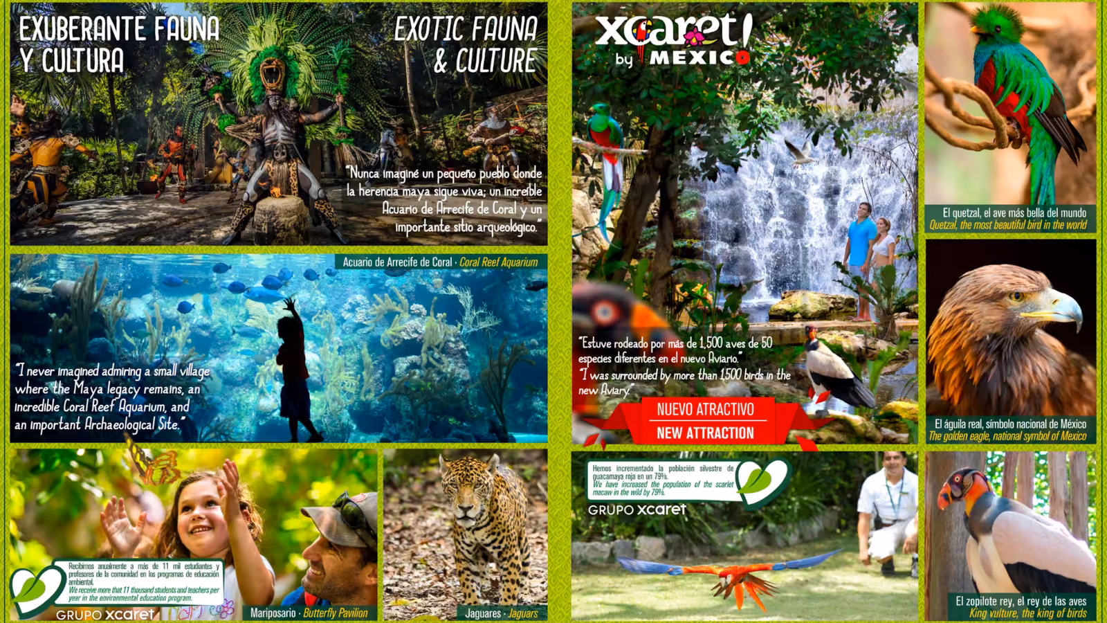 Collage of Xcaret’s green forests, waterfalls, exotic animals, people exploring nature, and info about wildlife and attractions.