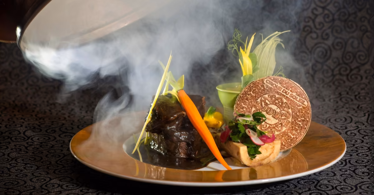 A gourmet dish with braised meat, carrot, leafy greens, crisp disc, and veggie garnishes on a gold-rimmed plate under smoke.