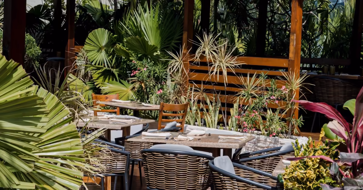 Cozy patio at Fred’s with wicker chairs, set tables, and lush green plants creating an inviting outdoor dining space.