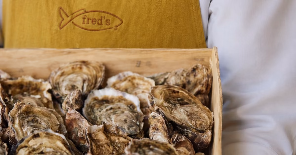 A person in a yellow apron stands at Fred’s restaurant, holding a wooden box filled with fresh oysters.