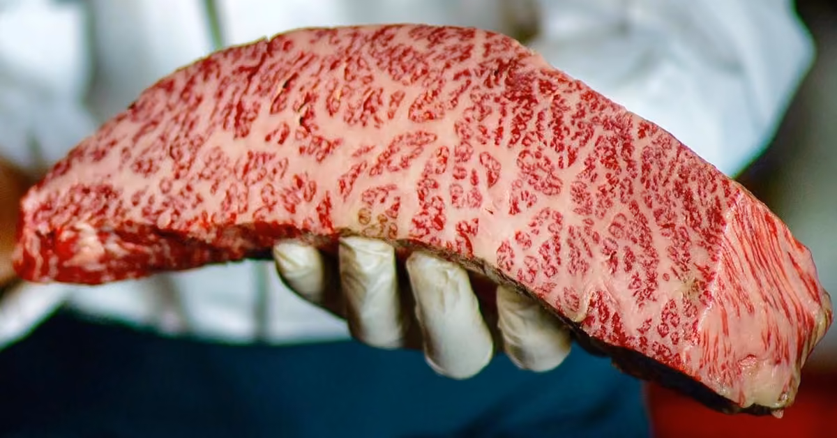 Someone in a white shirt and gloves holds a large, marbled Wagyu beef cut at Harry’s Restaurant, highlighting its fat patterns.