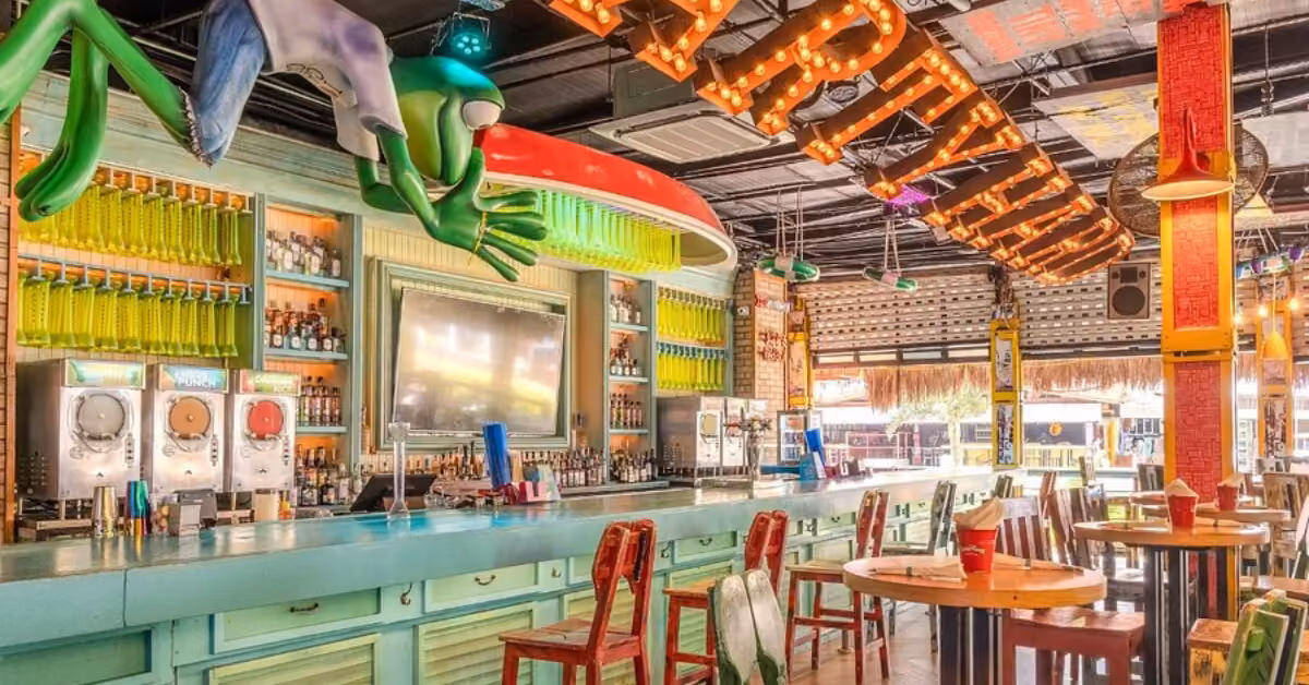 Lively bar at Señor Frog's with green and red decor, bottle displays, bold “PARTY” sign, frog figure, and quirky decorations.