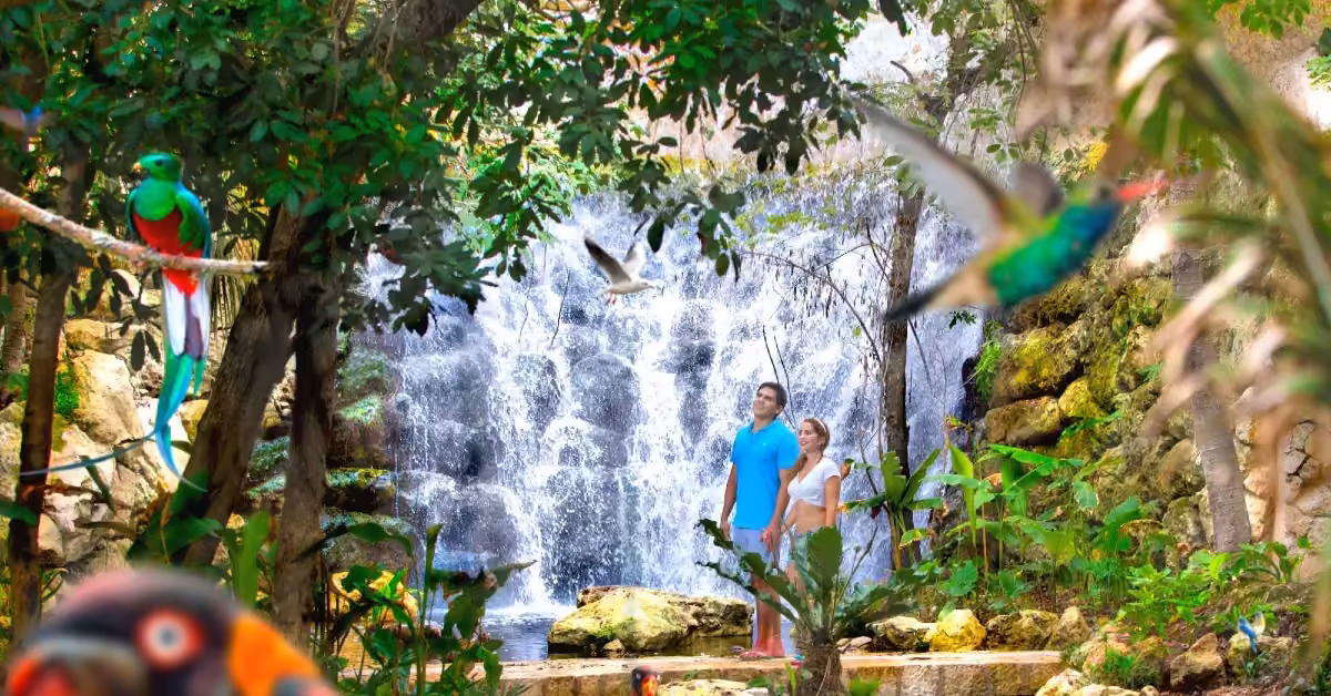 A couple stands before a waterfall at Xcaret, surrounded by lush greenery, parrots, and vibrant tropical plants.
