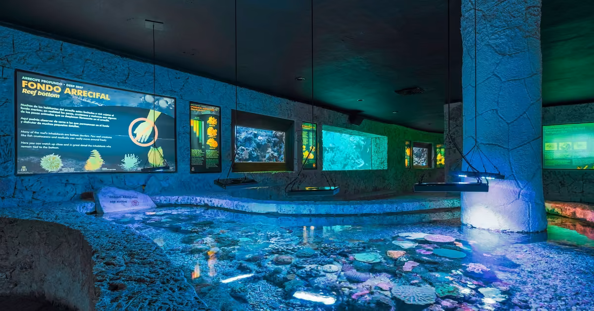 Aquarium at Xcaret with signs, coral reefs, and marine life in a large lit pool surrounded by textured walls and blue lighting.
