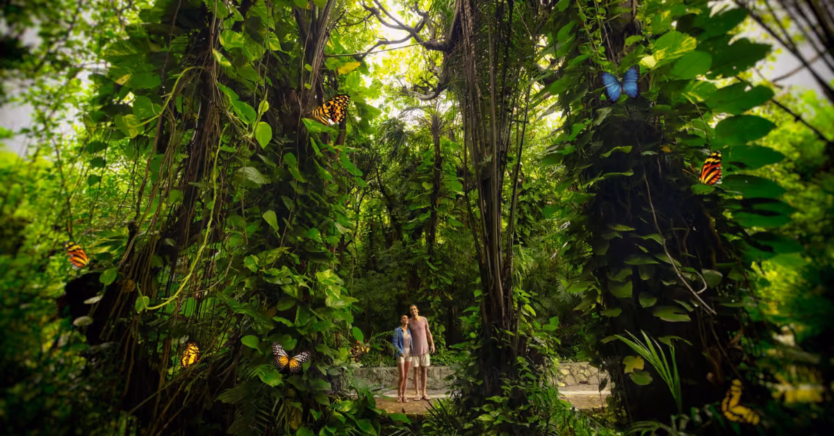 Two people stand on a stone path in Xcaret, surrounded by lush jungle and colorful butterflies among hanging vines and trees.