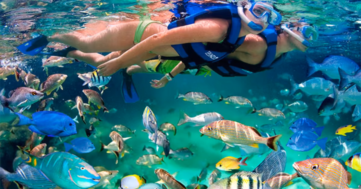 Two people in snorkeling gear and life vests swim among colorful tropical fish in the clear turquoise waters of Xel-Ha.
